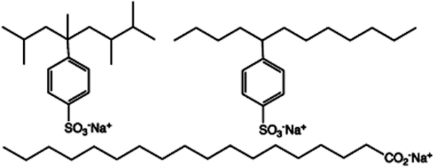 Molécula de detergente e sabão (Foto: Wikipedia)