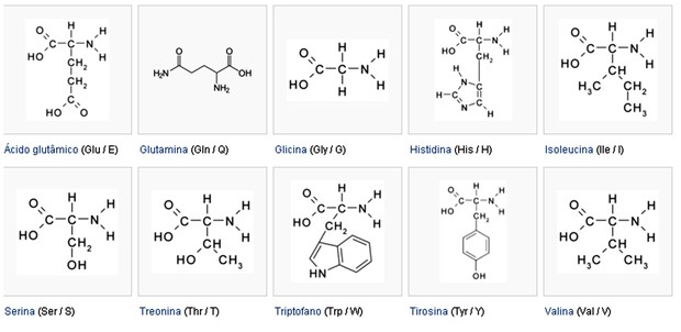 Tipos de aminoácidos parte II (Foto: Colégio Qi)