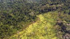 Desmatamento da Amazônia em foco (Marcello Casal Jr/ABr)