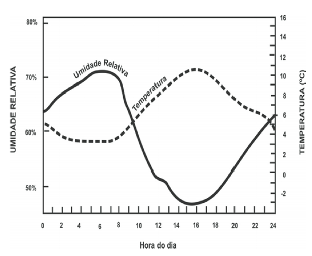 Gráfico com umidade relativa do ar e temperatura (Foto: Reprodução/ENEM)