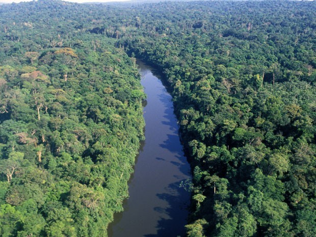 Floresta Amazônica possui clima equatorial: úmido e quente (Foto: G1)