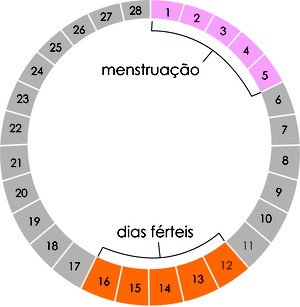 Método da tabela. Exemplo de um ciclo menstrual de 28 dias. (Foto: Reprodução/Colégio Qi)