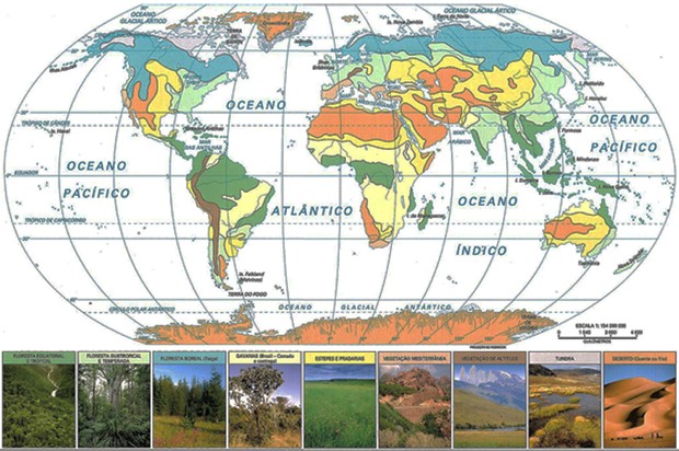 Dinâmica climática e vegetação no Brasil - educação