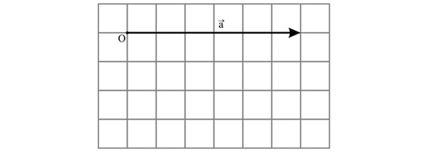 Gráfico vetor (Mecânica) (Foto: Reprodução)