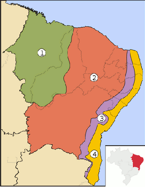 1 - Meio-Norte; 2 - Sertão; 3 - Agreste; 4 - Zona da Mata (Foto: Wikipedia)