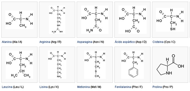 Tipos de aminoácios (Foto: Colégio Qi)