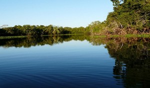 Pantanal, com vasta planície inundada (Foto: Agron)