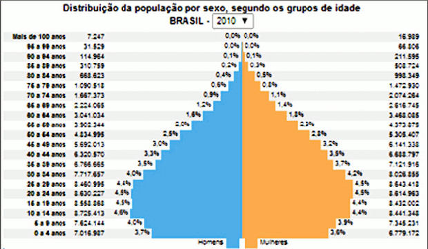 Gráfico com distribuição populacional (Foto: IBGE)