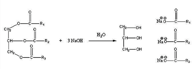 Reação de Saponificação de um triacilglicerol (Foto: Wikipedia)