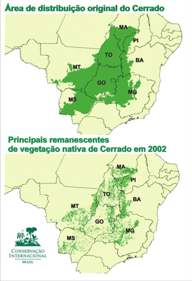 Cerrado original e em 2002 (Foto: Reprodução/ISPN)