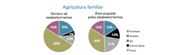 Agricultura familiar (Foto: Adaptado de www.mst.org.br.)