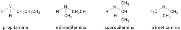 Quatro tipos de amina (Foto: Reprodução/UERJ)