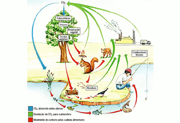 Esquema explica a poluição (Foto: Colégio Qi/Reprodução)