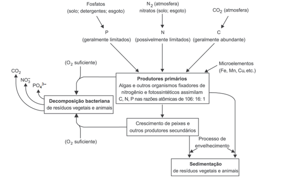 SPIRO, T. G.; STIGLIANI, W. M. Química Ambiental. São Paulo: Pearson Education do Brasil, 2008 (adaptado) (Foto: Reprodução/Enem)