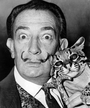 110 anos de nascimento de Dalí (Wikipedia)