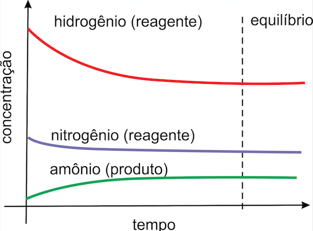 No equilíbrio, as concentrações de produtos e reagentes são constantes  (Foto: Wikicommons)