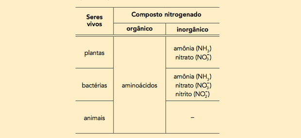 Compostos nitrogenados (Foto: Uerj/2014)